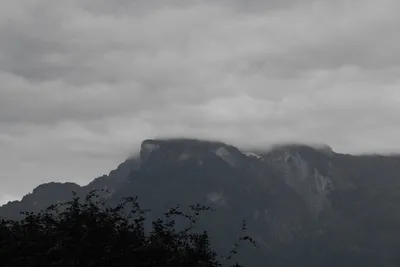 DSC_6091 (Large).JPG